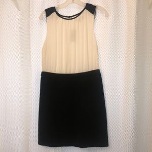 Ann Taylor Loft 6 petite NWT black and white dress